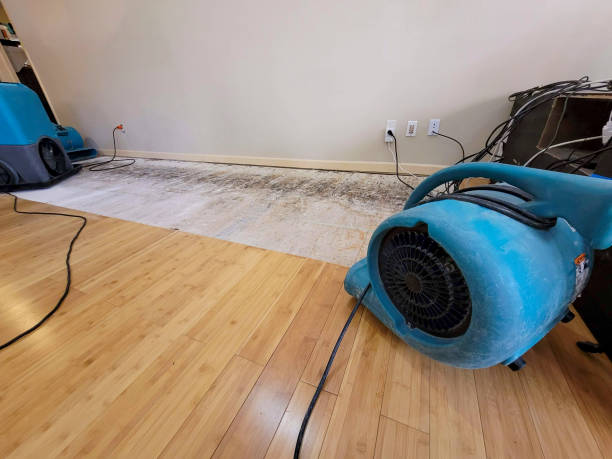 Professional Structural Drying technician working in Hudson, ME